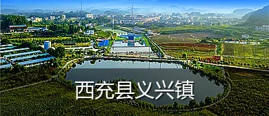 西充县义兴镇
