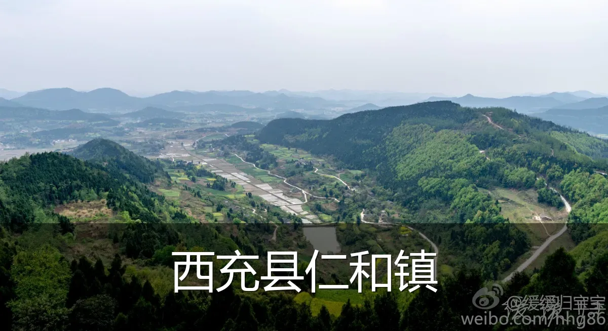 西充县仁和镇