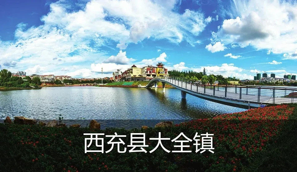 西充县大全镇