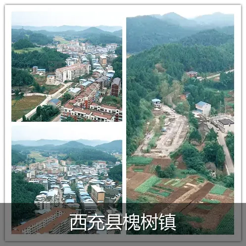 西充县槐树镇