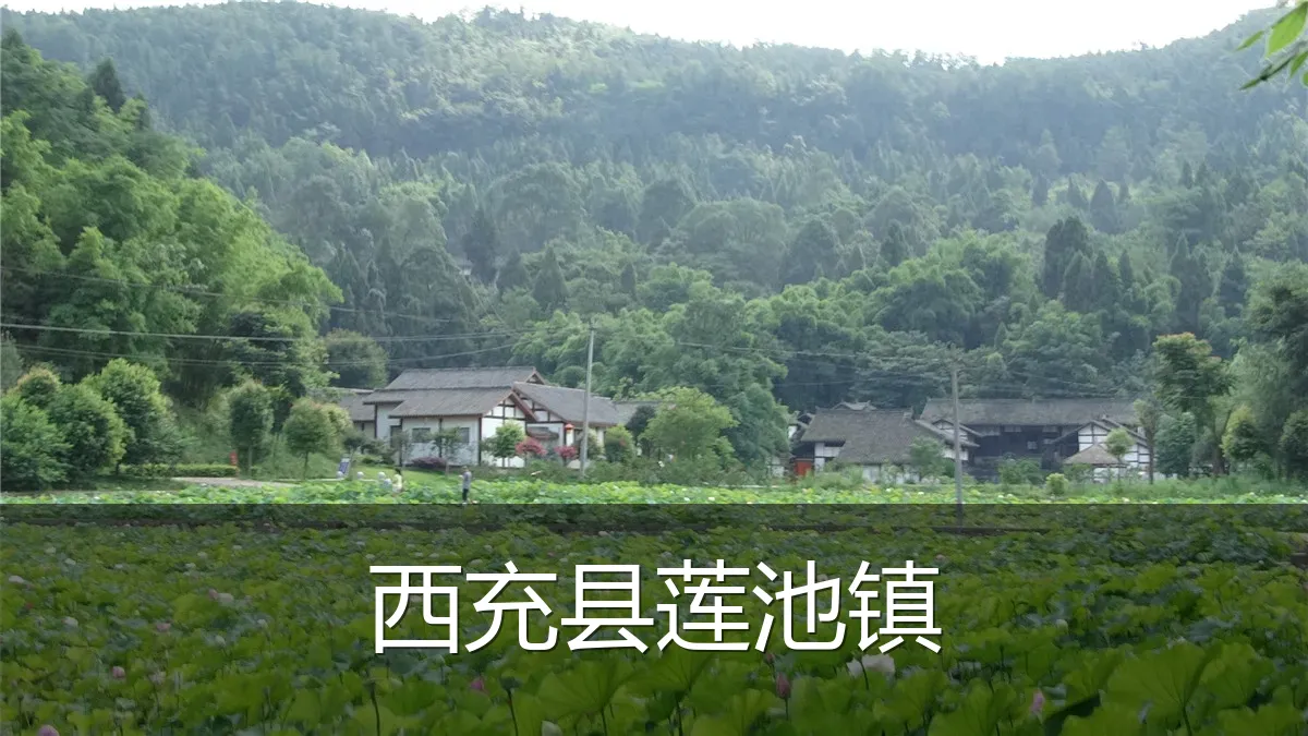 西充县莲池镇